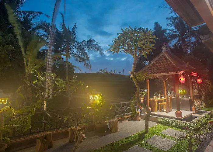 The Miracle House *